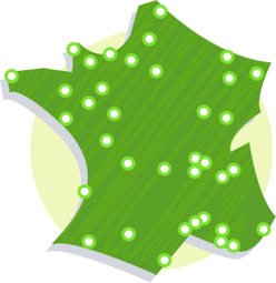 Elections municipales 2008 : Greenpeace France veille au grain ! Serez-vous un maire éco-responsable ?