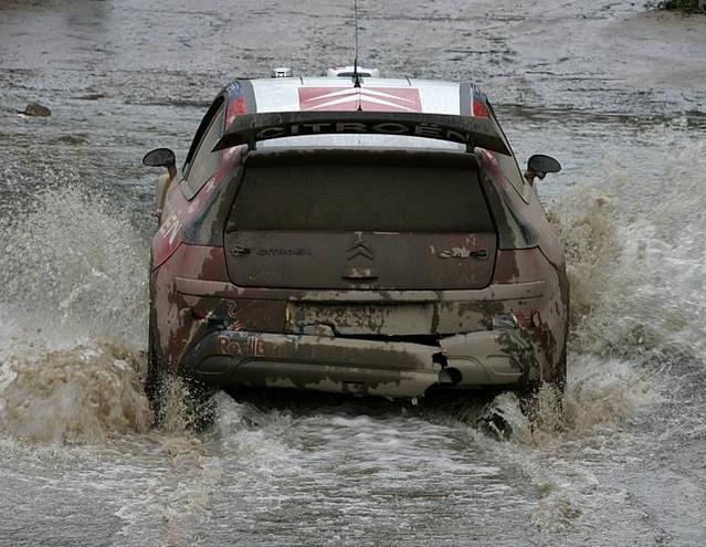 WRC polémique du pneu unique : quand le fils Wilson contredit le père