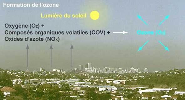 Ministère de l'Ecologie : des actions conjointes contre la pollution par l’ozone