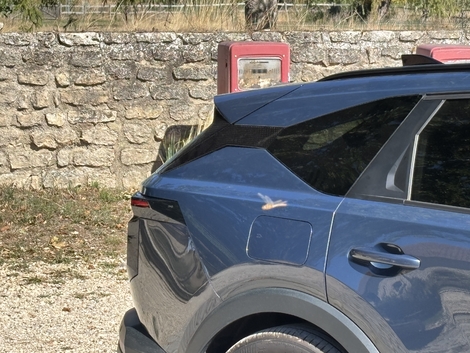 Même constat pour la custode arrière.