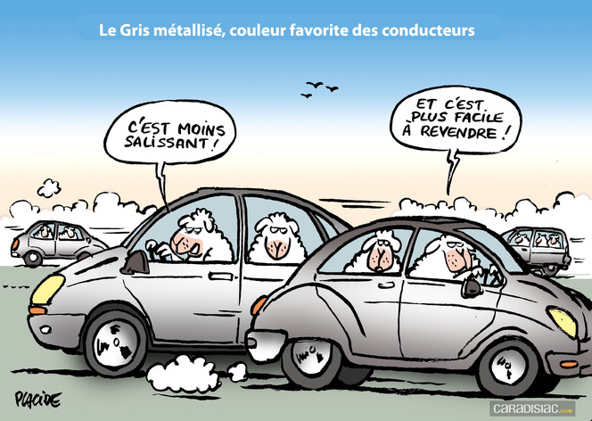 Le dessin du jour - Les moutons gris