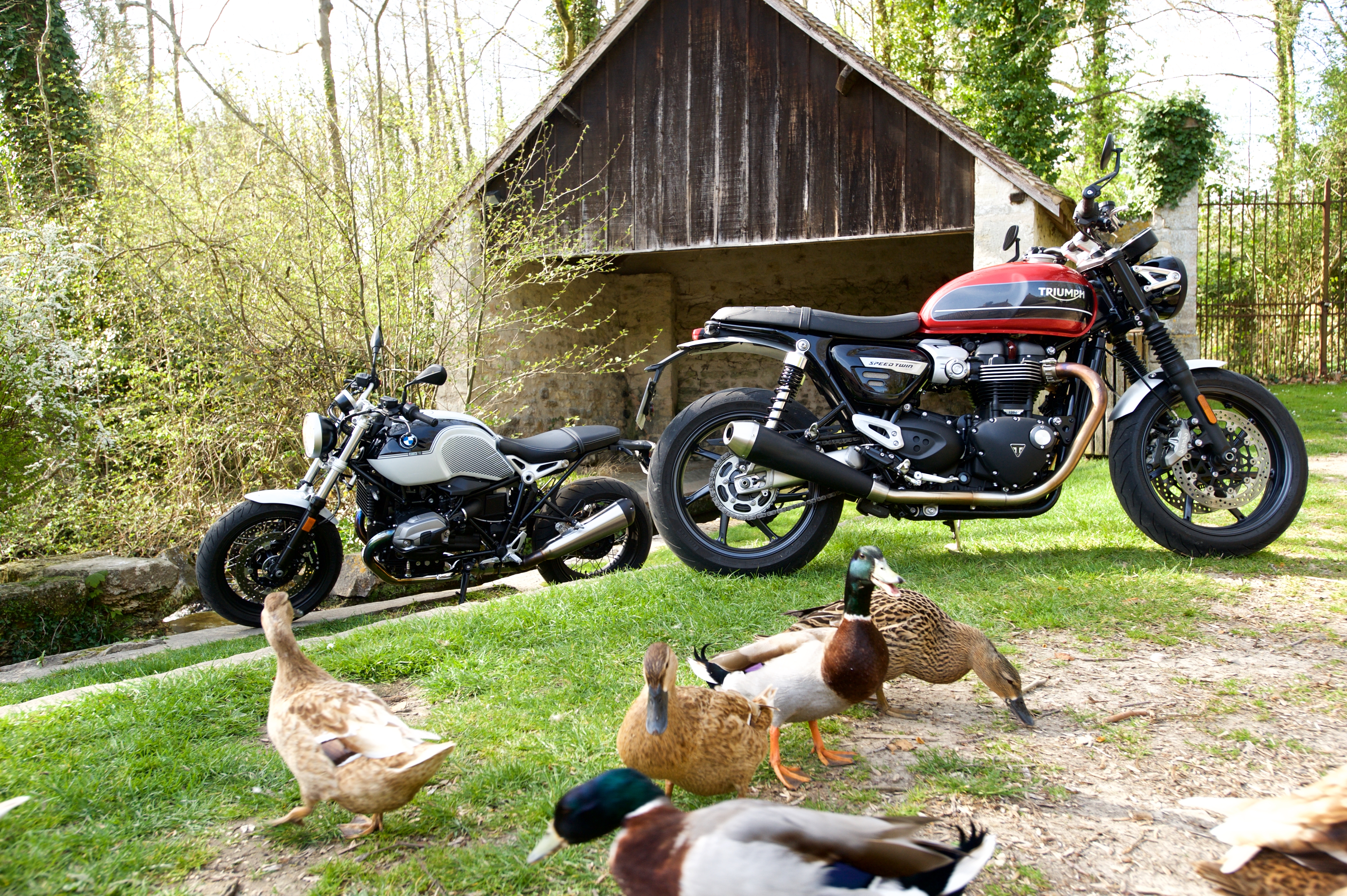 Comparatif Triumph Speed Twin Vs Bmw R Nine T Pure Un Peu De Sport Dans Un