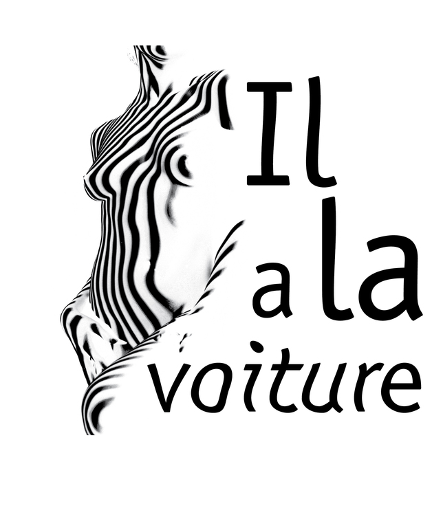 Il a la voiture, par Marilyne Martin