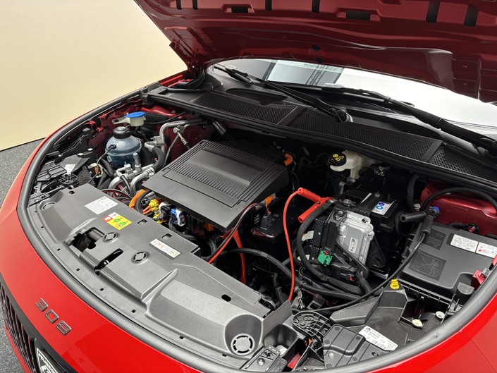 Beaucoup de choix en matière de source d'énergie : hybride, PHEV, électrique et même encore diesel.