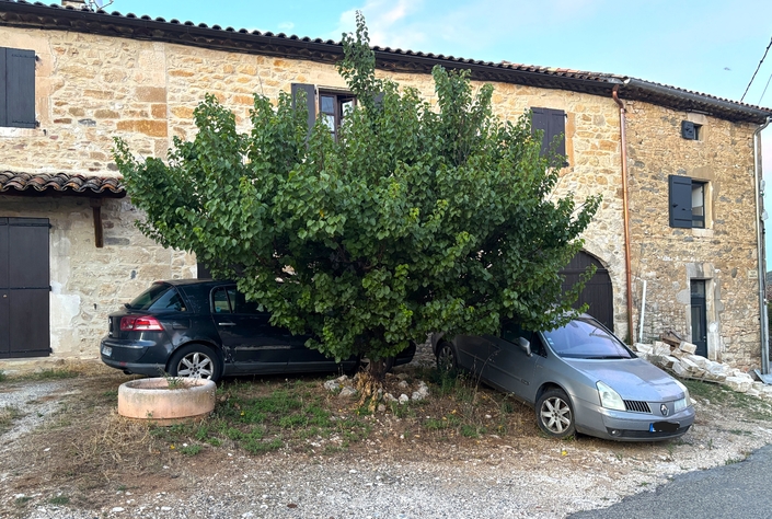 Rencontrées au fin fond de l'Ardèche, deux Renault Vel Satis. Une donneuse d'organe pour l'autre ? Pas impossible.