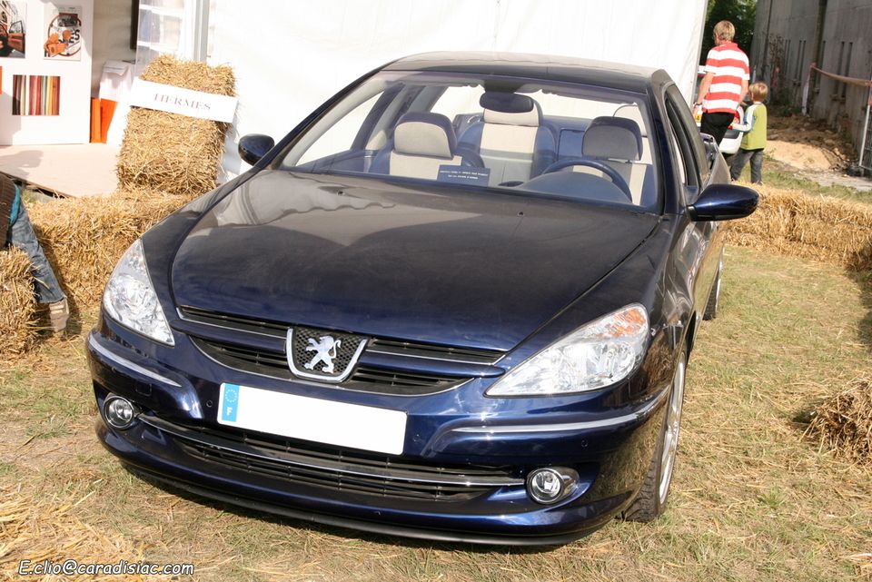 Peugeot 607 paladine