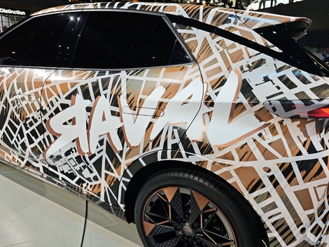 Le camouflage original et parfaitement adapté au nom du modèle. C'est une bonne idée et en plus ça fait parler, la preuve.
