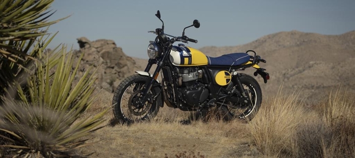 Royal Enfield présente la Bear 650 « Wild Honey »
