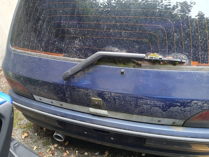 Une Clio Williams abandonnée