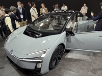 Voir toutes les images