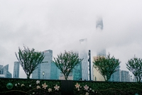 Voir toutes les images