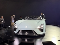 Voir toutes les images