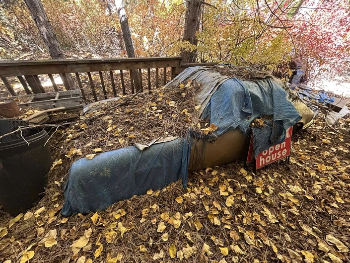 Cette Porsche 911 servait de garde-manger pour un écureuil