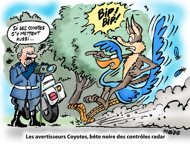 Placide défend nos amis les coyotes