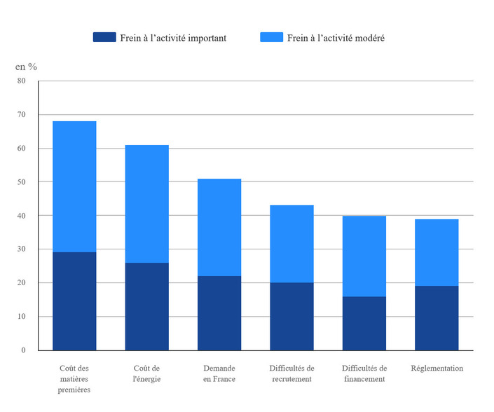 Principaux freins à l'activité au sein de la filière automobile ©Insee