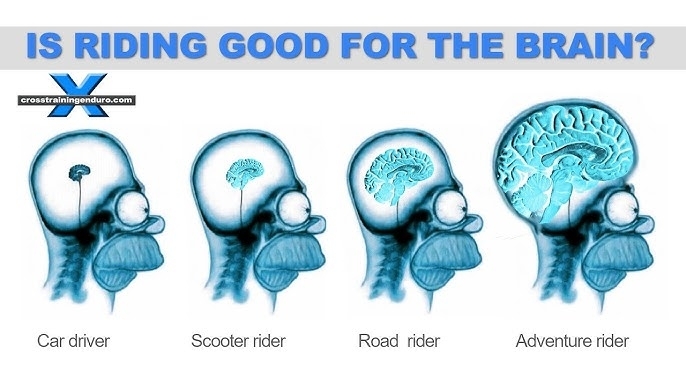 Le cerveau adore la moto : il est scientifiquement prouvé que rouler à moto rend plus intelligent et en meilleure forme