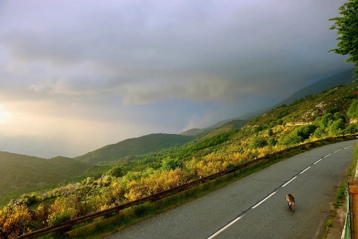 Les bilans 2025-Serge Bellu: "Comment ne pas s’inquiéter de la progression effrayante des constructeurs chinois ?"