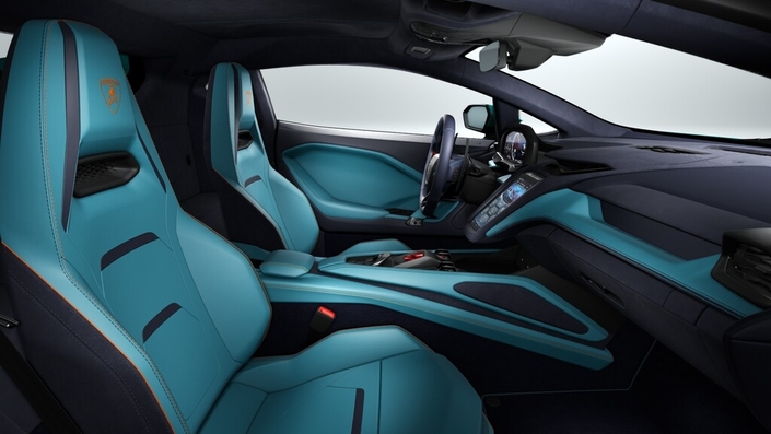 j’ai opté pour du cuir bicolore un peu « pétant ».