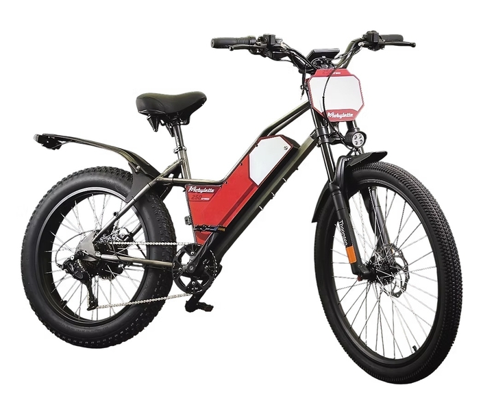 Solex et Mobylette, ces deux icônes françaises qui vont bientôt renaître en version électrique