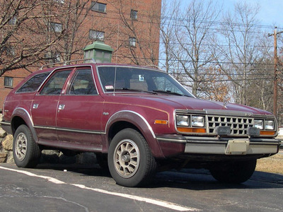 Amc Eagle