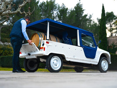 photo de Eclassic Cars Estory Pick-up