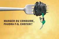 Conséquences des agrocarburants : hausse des prix alimentaires et pénurie de lait