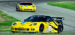 ALMS - Mid Ohio : Acura en Pole, Corvette troisième du GT2
