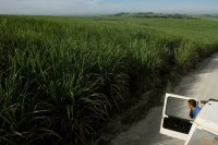 Brésil : l'éthanol doit devenir moins polluant
