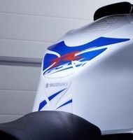 Suzuki habille son Gex 1000.