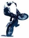 Championnat du monde de trial
