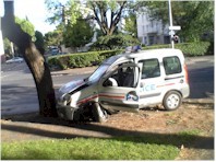 Police municipale + arbre => mauvais ménage