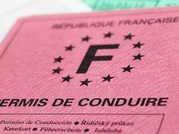 Permis de conduire : 77 % des conducteurs ont leurs 12 points