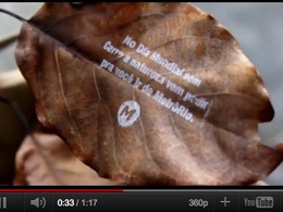 Des messages imprimés sur des feuilles d'arbres font la promotion des transports en commun