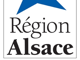 Véhicule électrique : la Région Alsace attribuera une aide de 5 000 € aux 500 premiers particuliers et professionnels acquéreurs