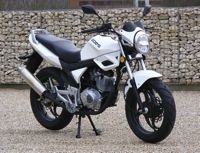 Un Roadster 125 cm3 chez Goes ?