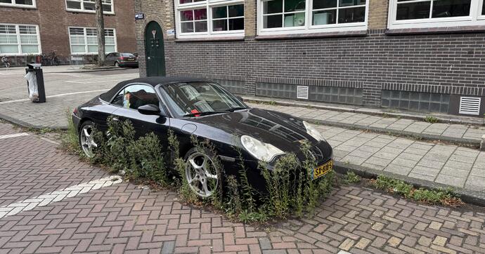 Une 996 hybride : moitié 911, moitié jardin