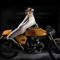 Moto § Sexy - Ducati: Borgo Panigale a justement demandé du rab à Elizabeth