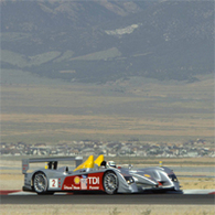 ALMS 2007: précisions de calendrier