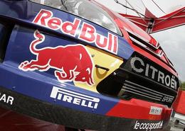 WRC Argentine Jour 1 : Les Ford au tapis, Loeb sans soucis