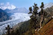 Suisse : l'association Initiative pour le climat a récolté plus de 150 000 signatures