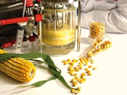 Les Etats-Unis dévoilent un plan pour booster la production de biocarburant