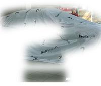 IRC: Skoda montre le chemin