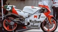 Tout sur les cinquante ans de la marque aux diapasons dans le monde des Grands Prix…