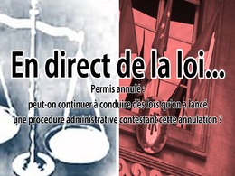 En direct de la loi - Permis annulé : puis-je conduire dès lors que je suis en procédure administrative ?