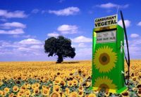 Etude/France : les biocarburants présentent un intérêt environnemental