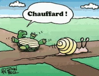 Un chauffard sauve la vie d'un désespéré malgré lui