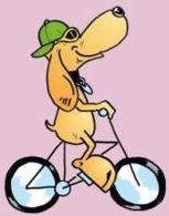 Marché du Cycle 2007 en France : les ventes de vélo décortiquées !