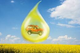 Biocarburants : il est urgent d'attendre pour les scientifiques !