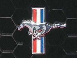 Les Mustang polonaises en vidéo
