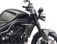 Tenue «Khaki Green» en 2010, pour la Triumph Speed Triple